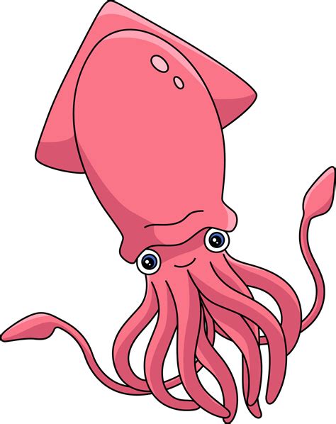 cartoon squid pictures